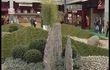 Jardin Expo: olivier à l'honneur